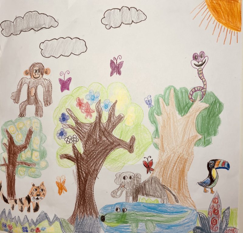 Save trees, they are home to animals - Kids Care About Climate Change 2021