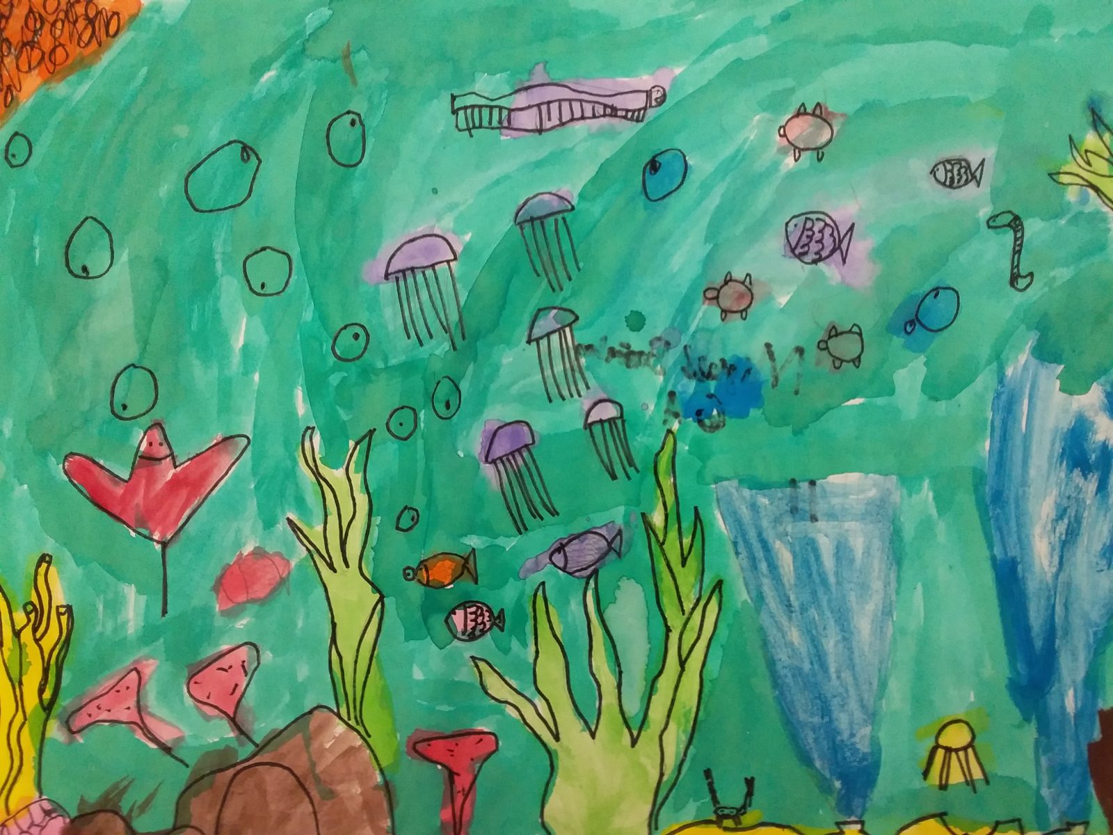 The Beautiful Great Barrier Reef - Kids Care About Climate Change 2021