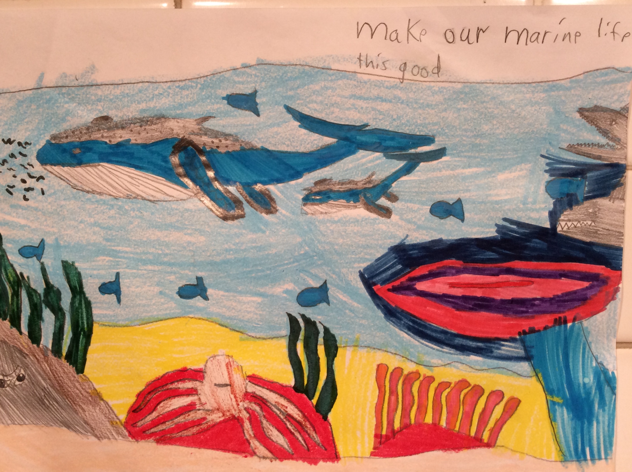 Make our Marine Life look this good - Kids Care About Climate Change 2021