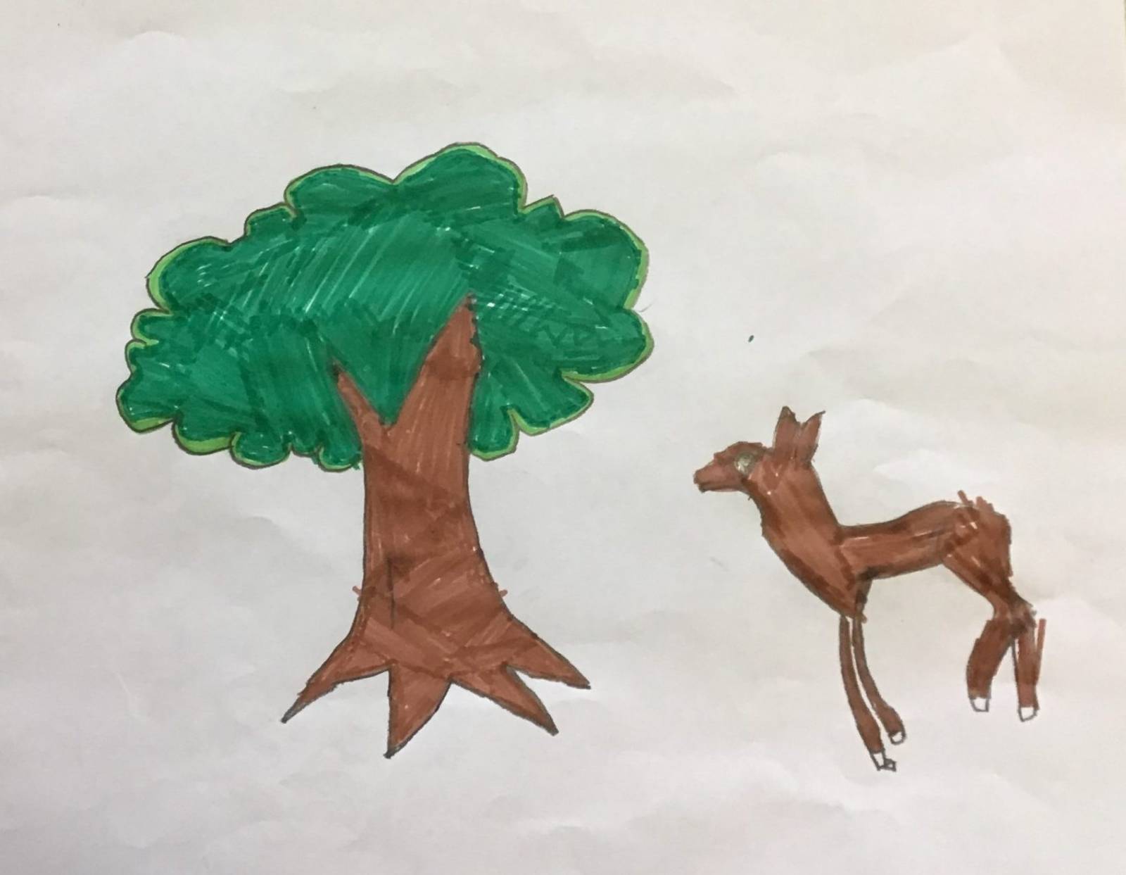 Trees are good for animals Kids Care About Climate Change 2021