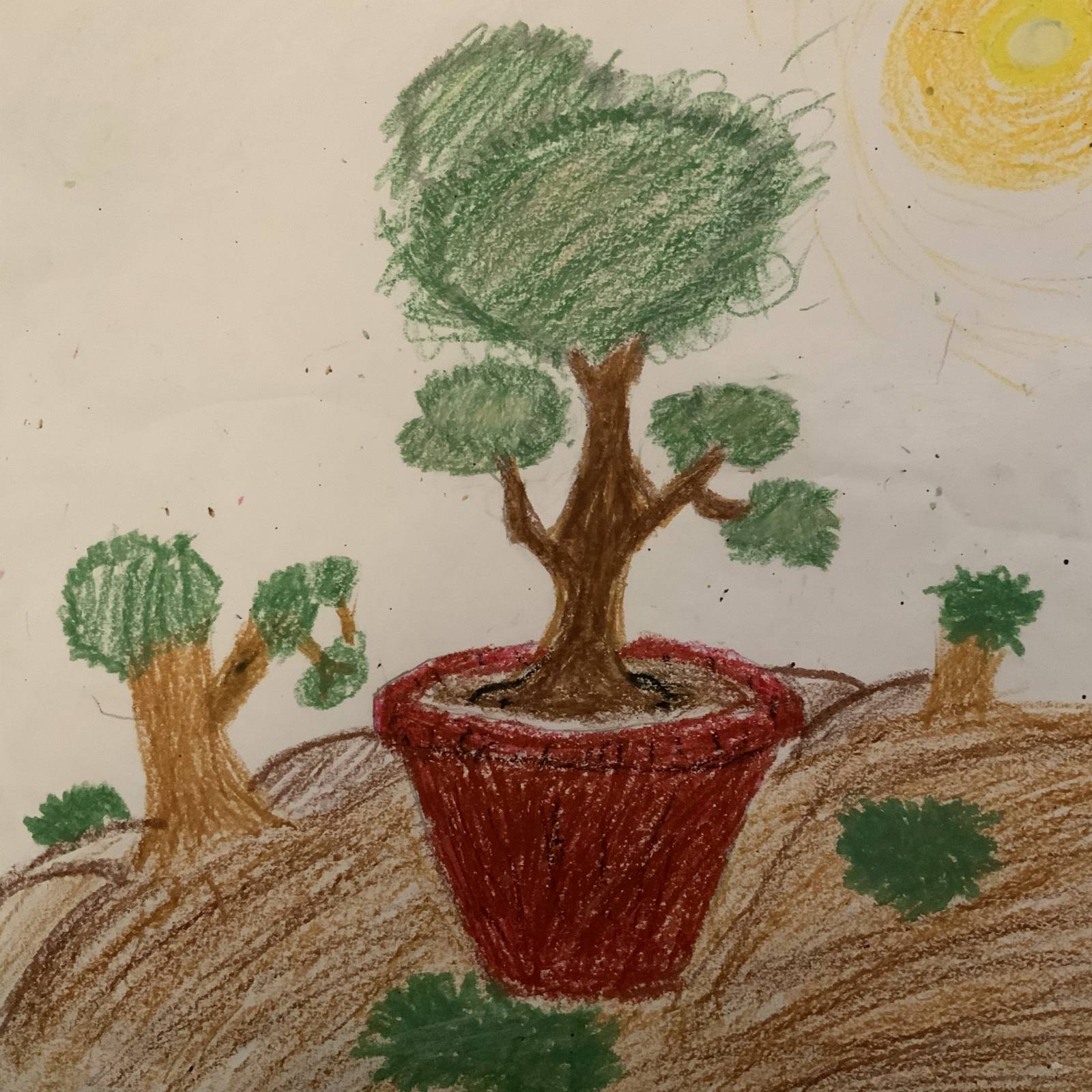Trees Help The Environment Kids Care About Climate Change 2021