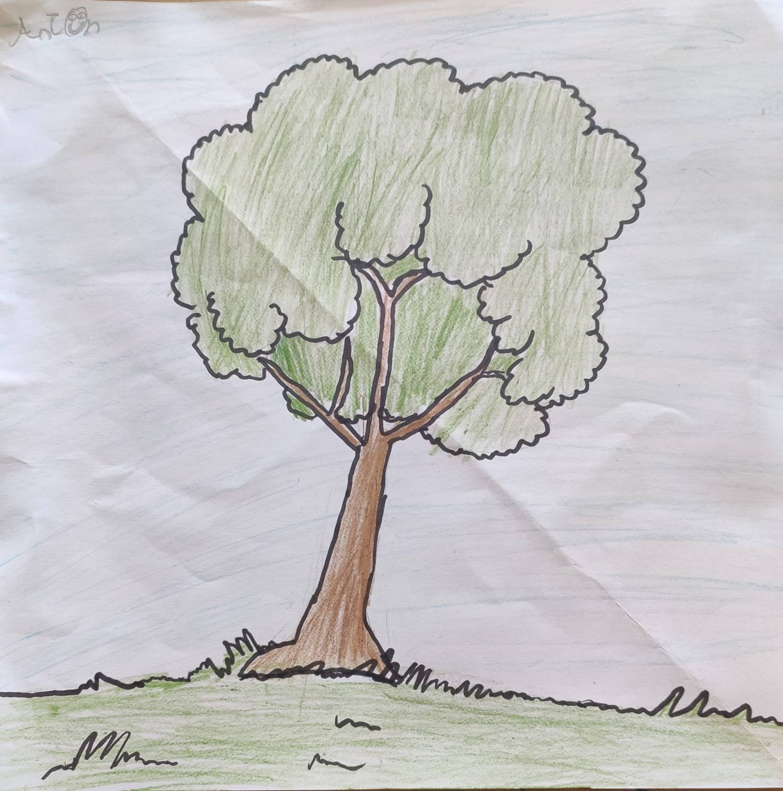 Just a Tree - Kids Care About Climate Change
