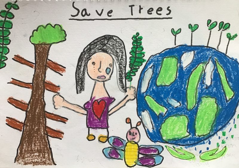 How to draw save trees drawing - Poster making on save trees - YouTube-saigonsouth.com.vn