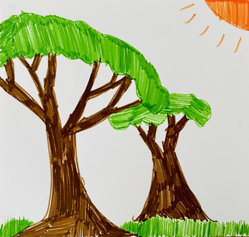 "I love big, green trees' by Connor, aged 9