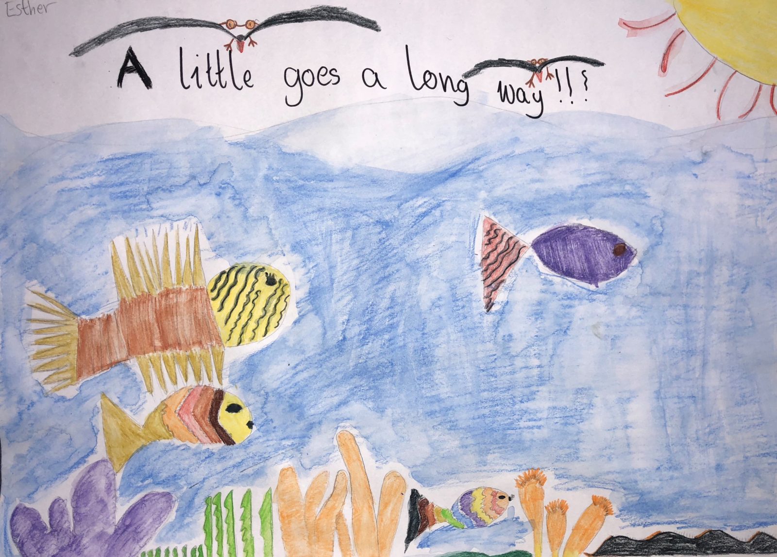 A little bit goes a long way! - Kids Care About Climate Change