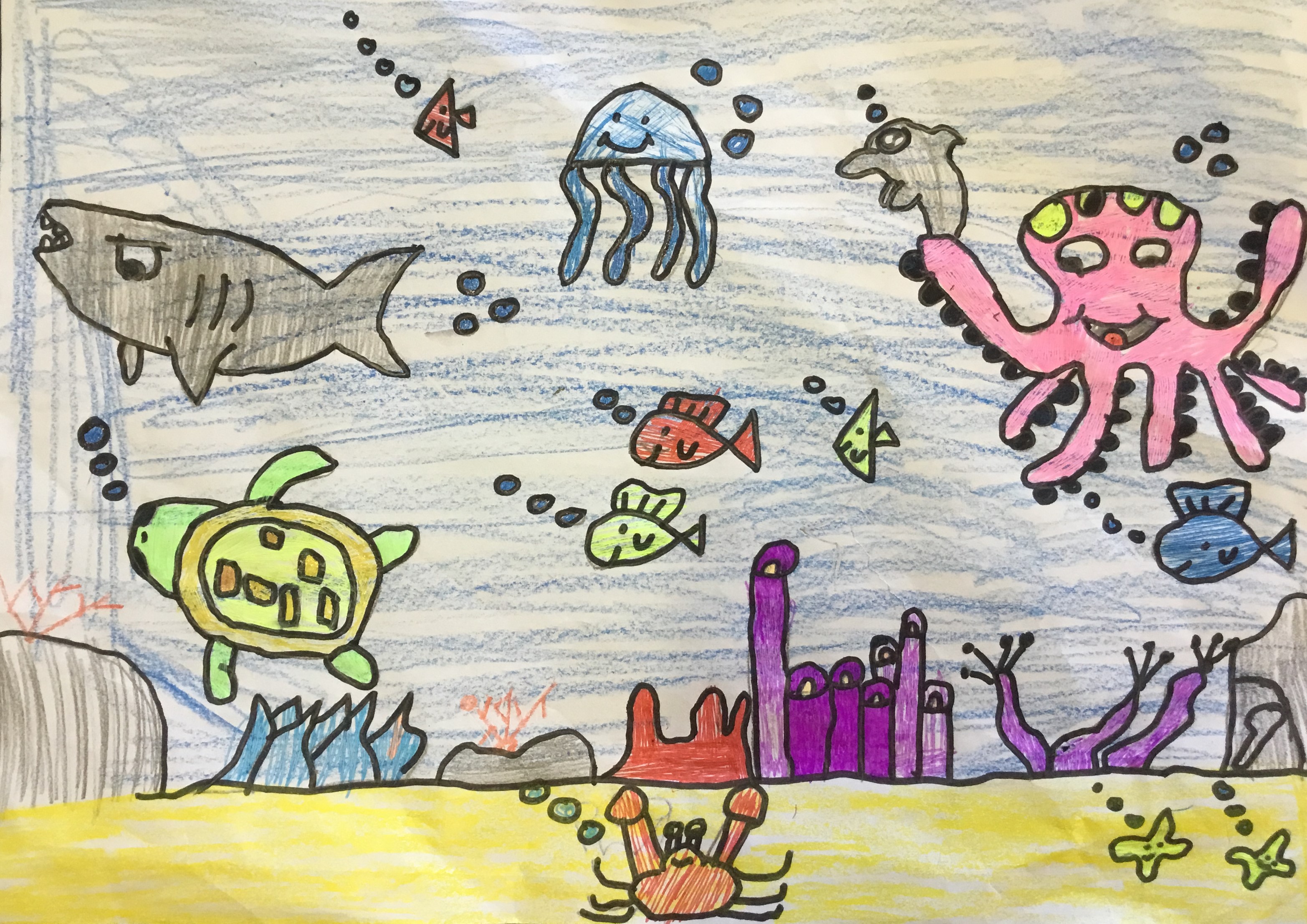 The Great Barrier Reef - Kids Care About Climate Change 2021