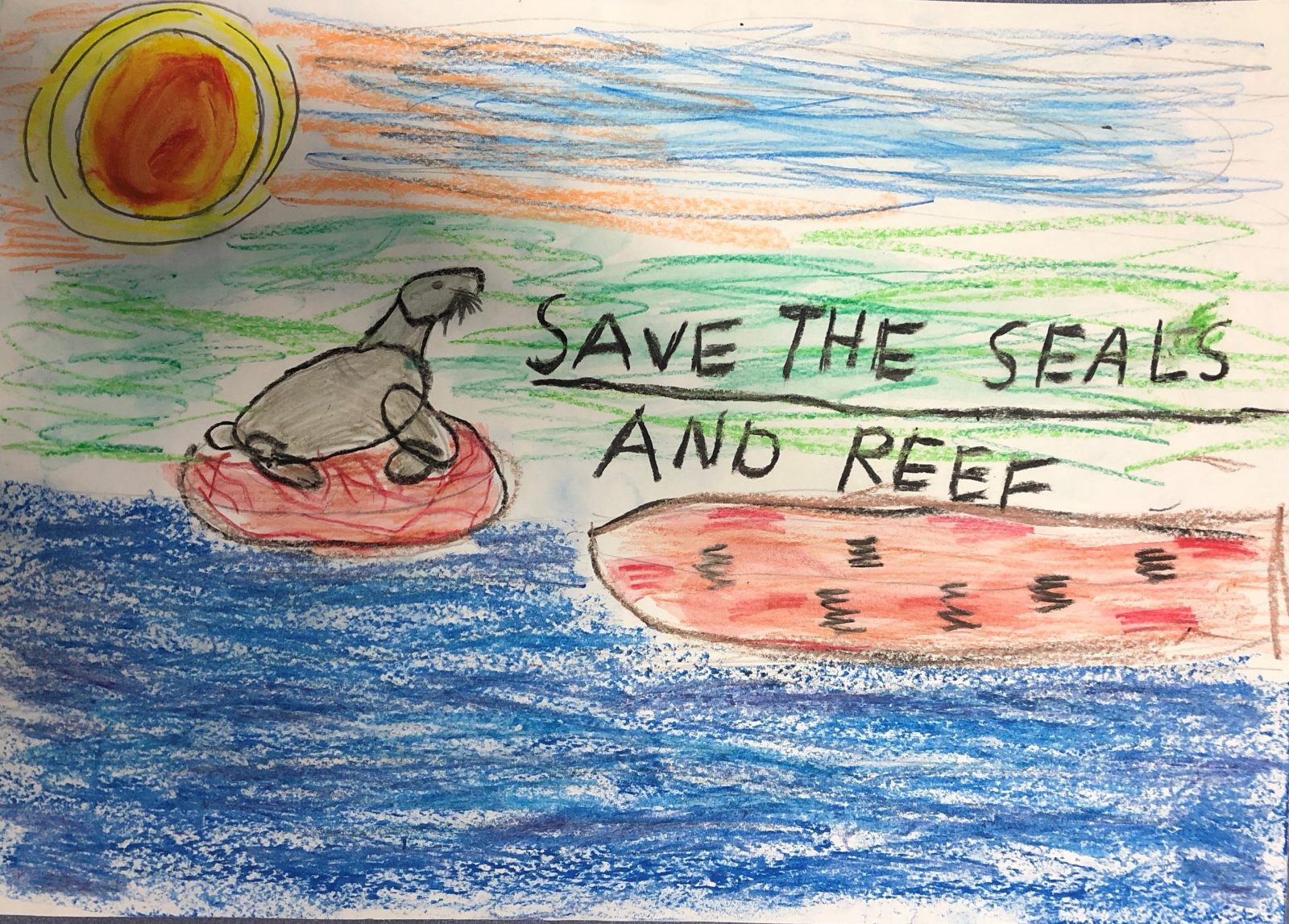 Save the Seals - Kids Care About Climate Change 2021