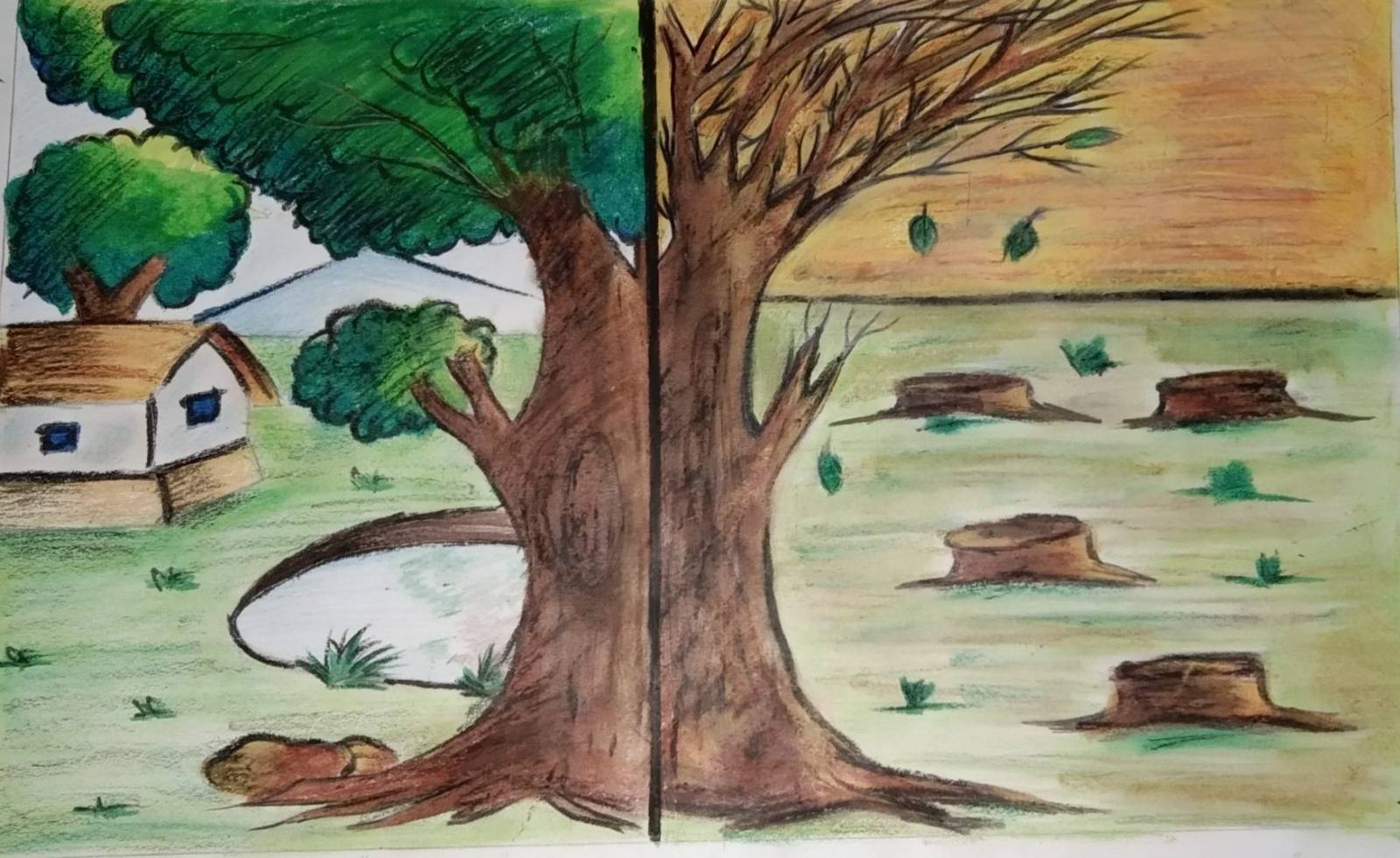 CUTTING DOWN TREES Kids Care About Climate Change 2021