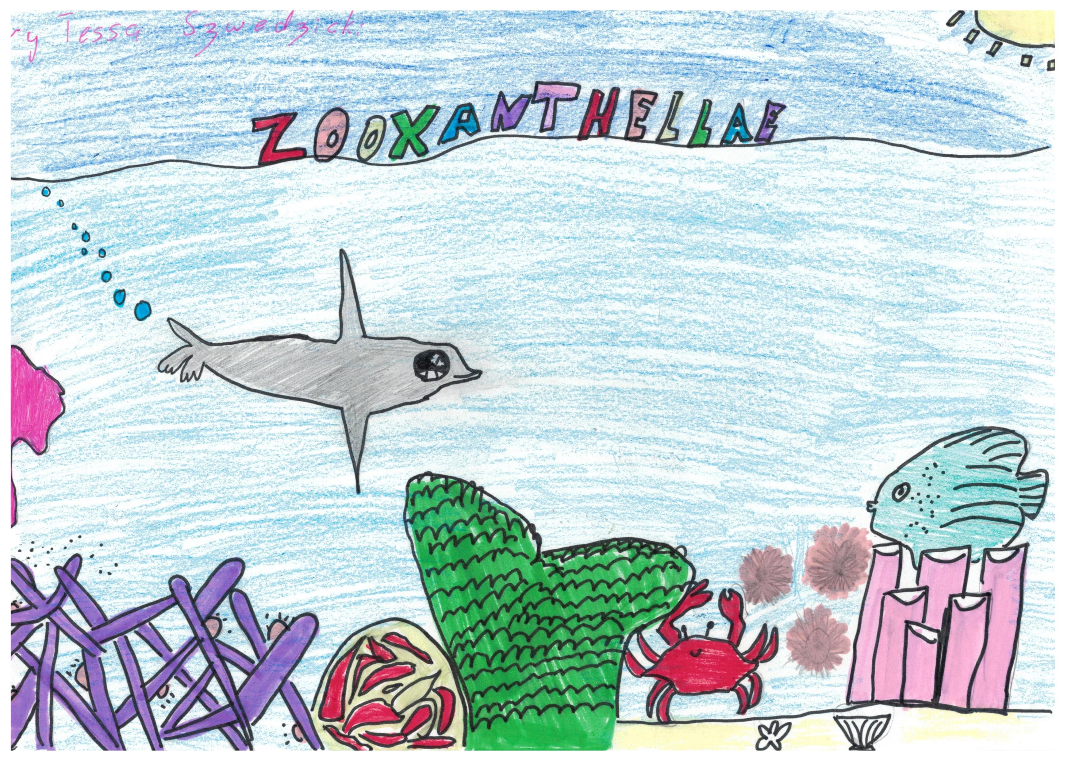 Zooxanthellae - Kids Care About Climate Change 2021