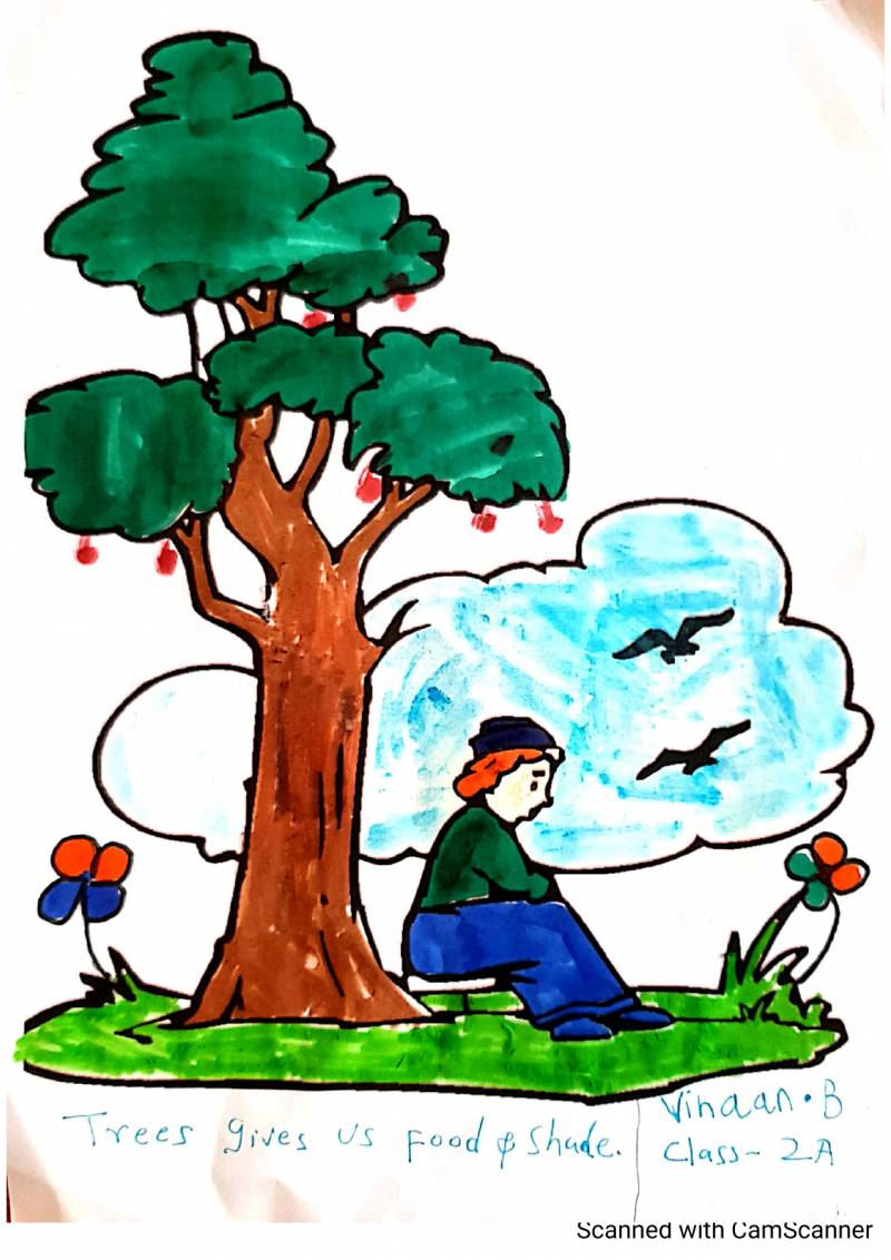 Importance of trees Kids Care About Climate Change 2021