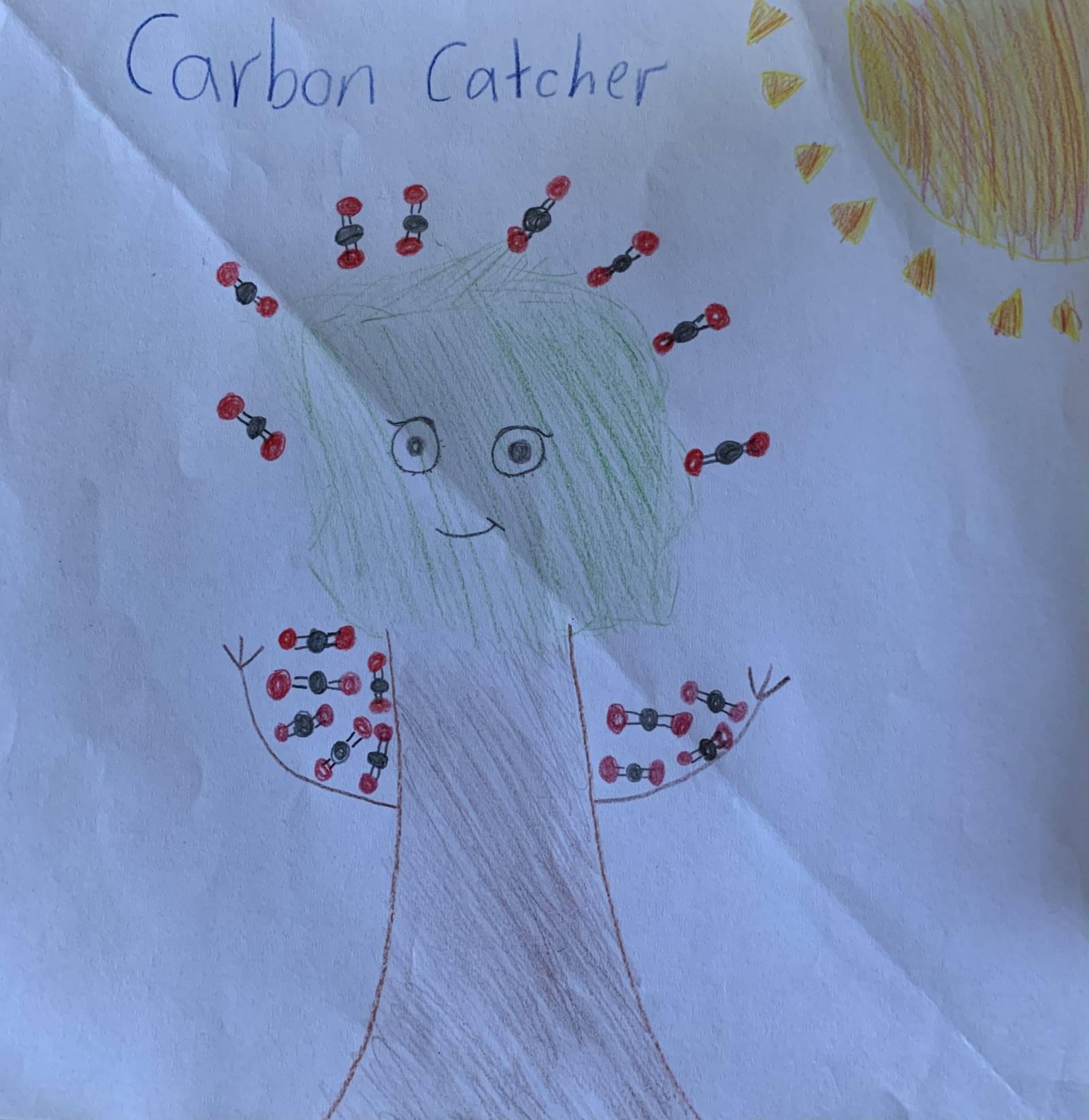 Carbon Catcher Kids Care About Climate Change 2021