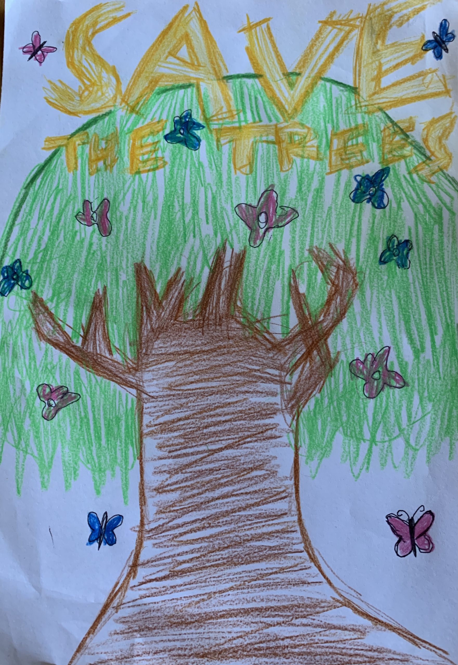 Save the trees - Kids Care About Climate Change 2021