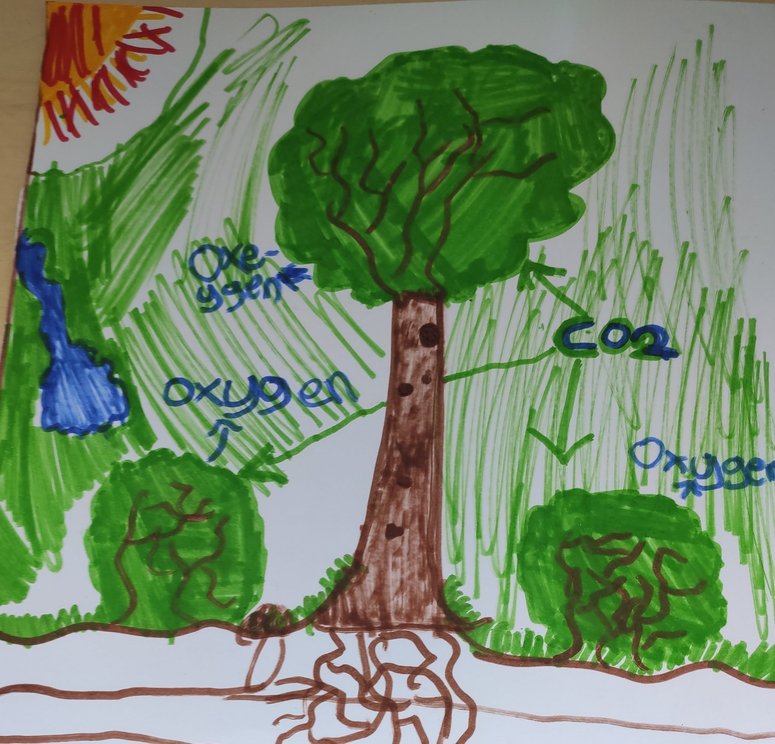 the-co2-tree-kids-care-about-climate-change-2021